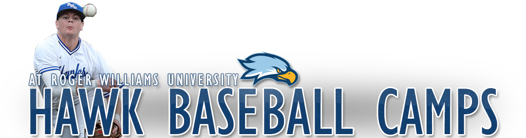 hawk baseball camps at