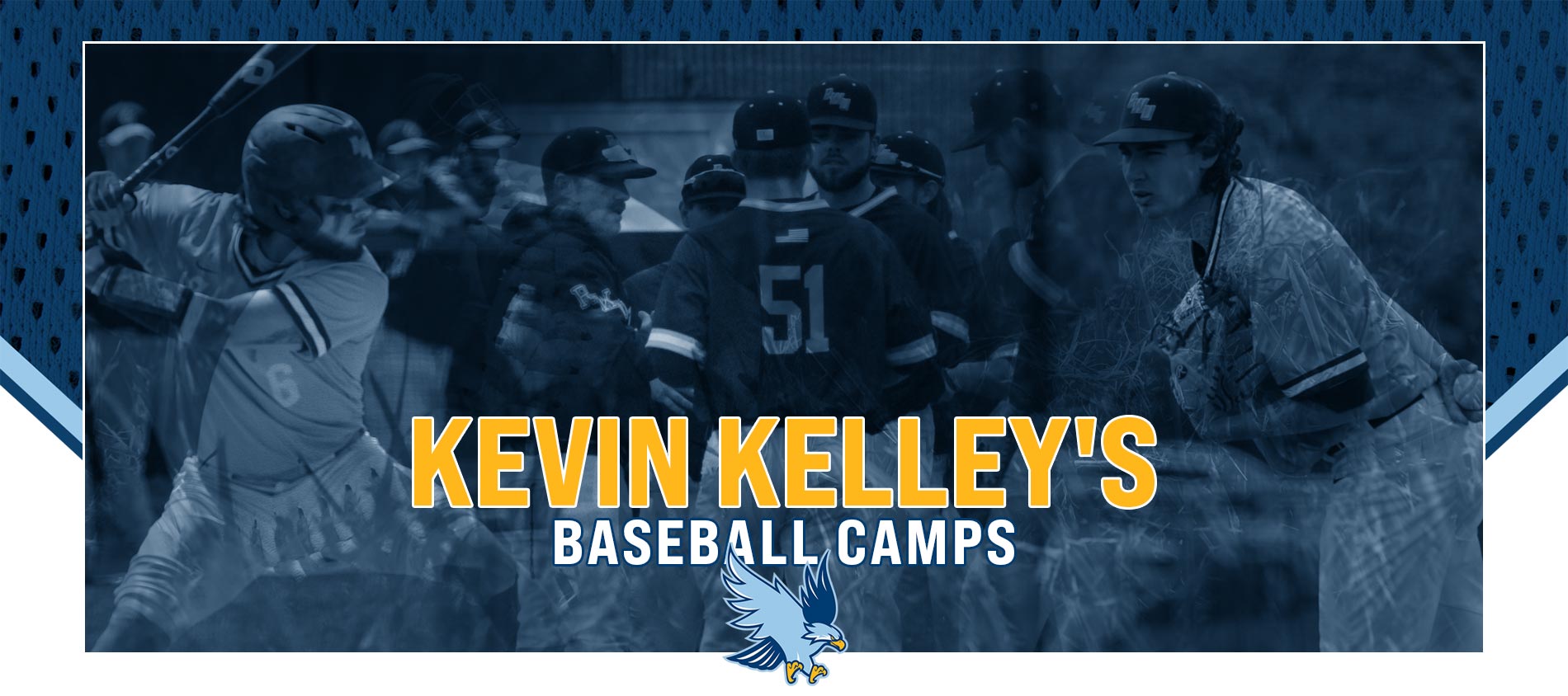 Hawks Baseball Camps
